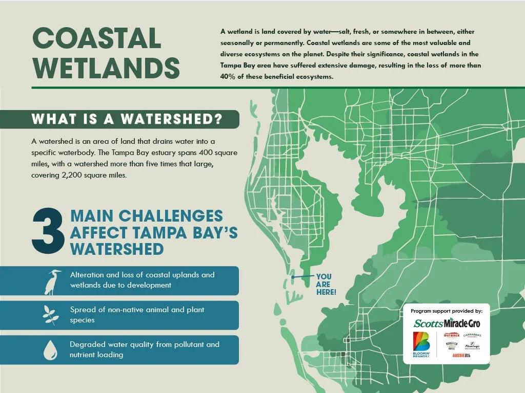 The Native Plant Nursery Project
