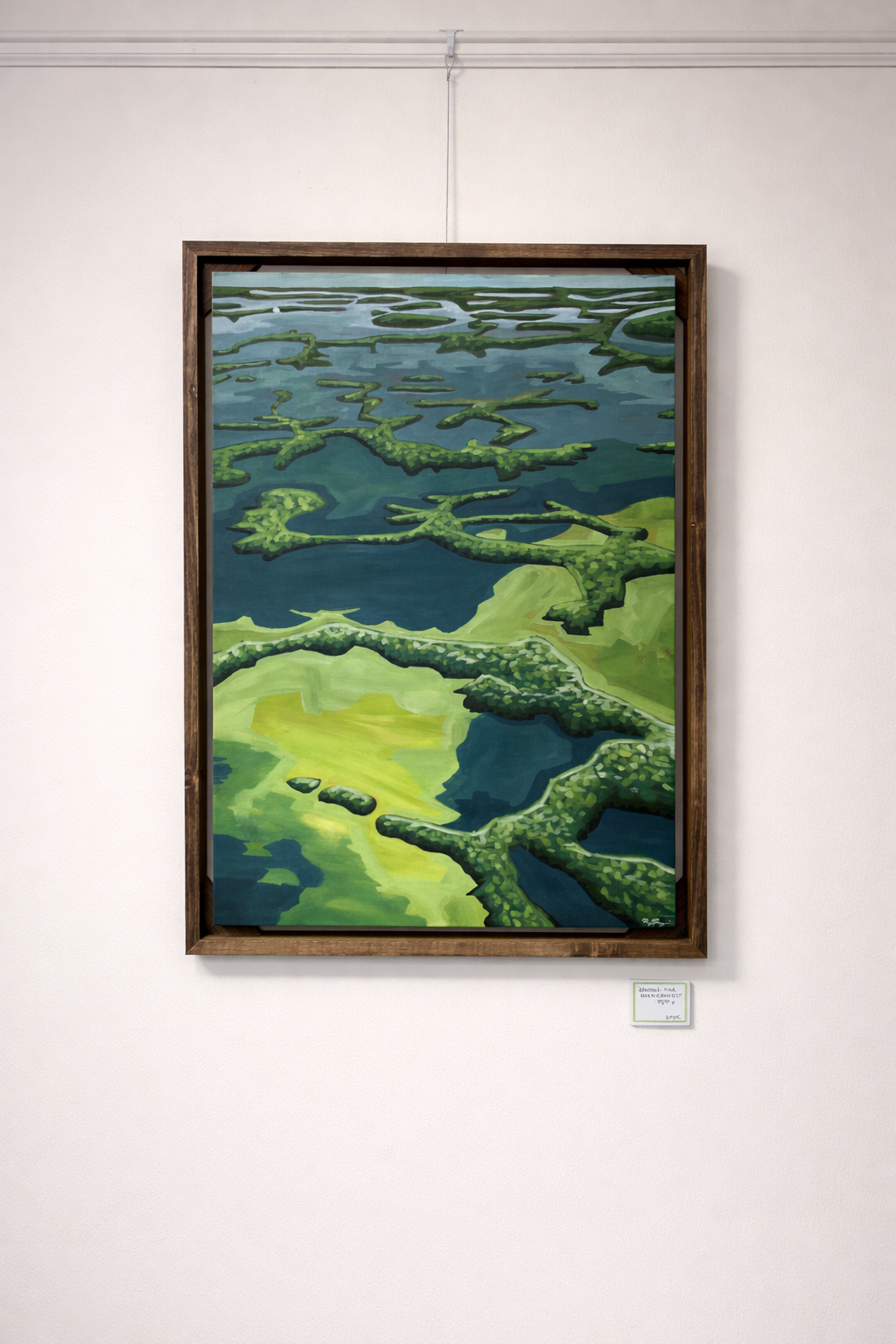 "Among the Mangroves"