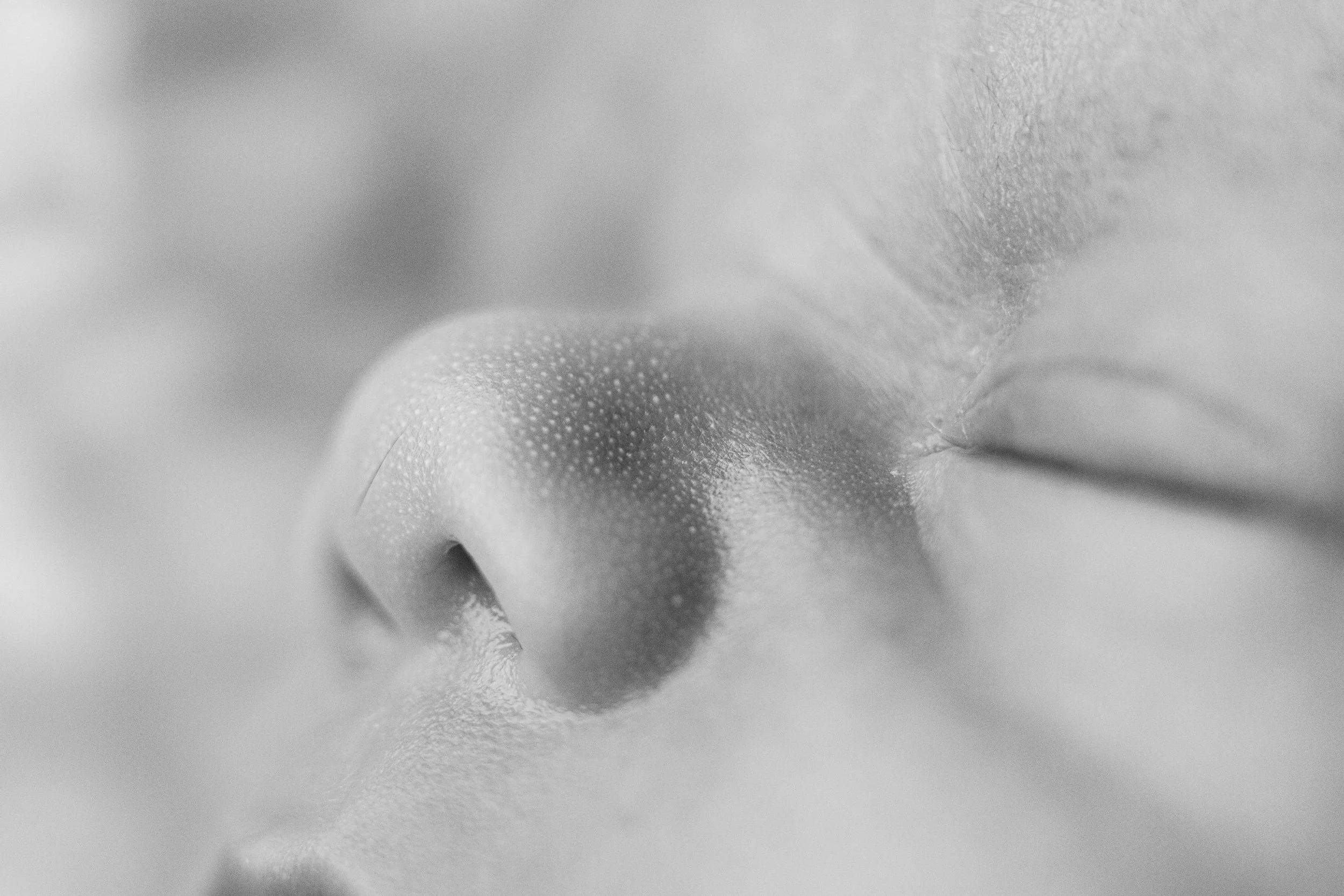 Merritt Henry Preston New Born_20221222_015.jpg