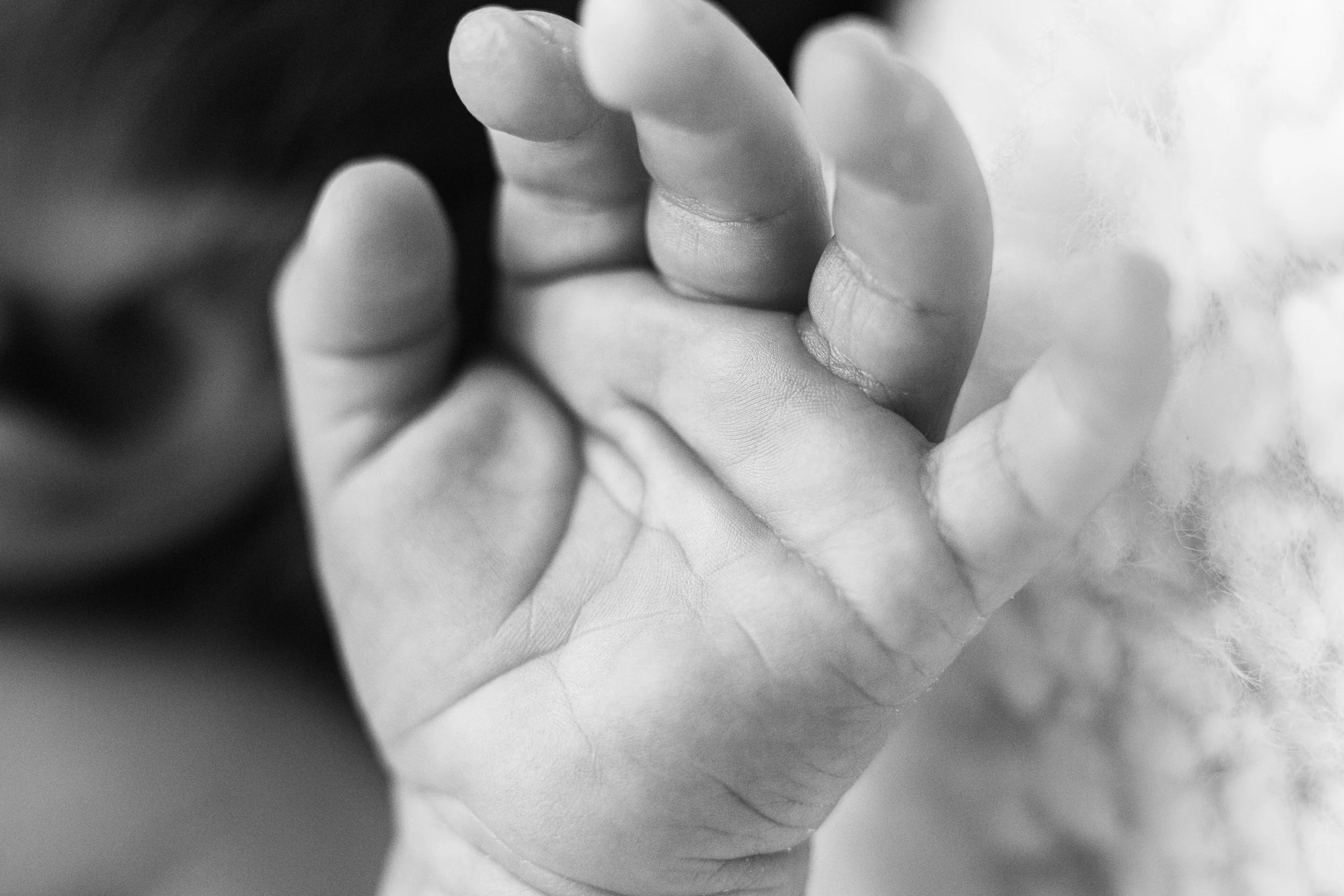 Merritt Henry Preston New Born_20221222_010.jpg