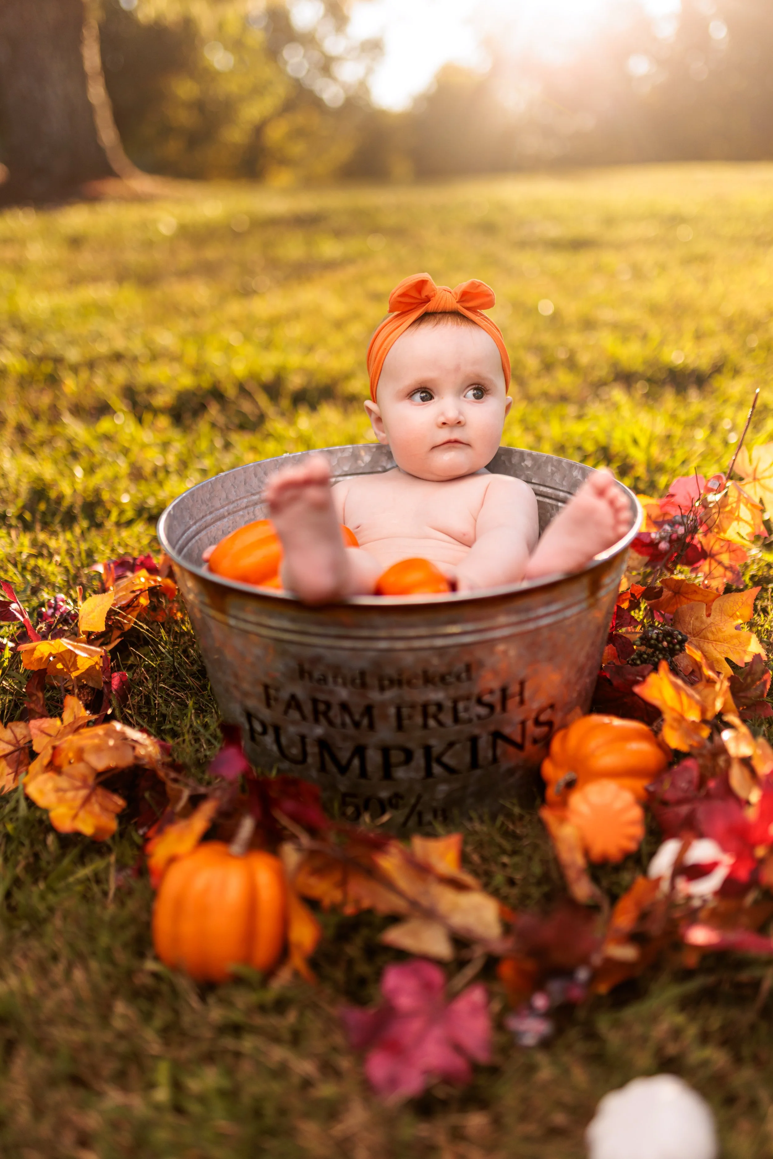 Melanie and Jax Fall Bucket Shoot Web_20231001_028.jpg