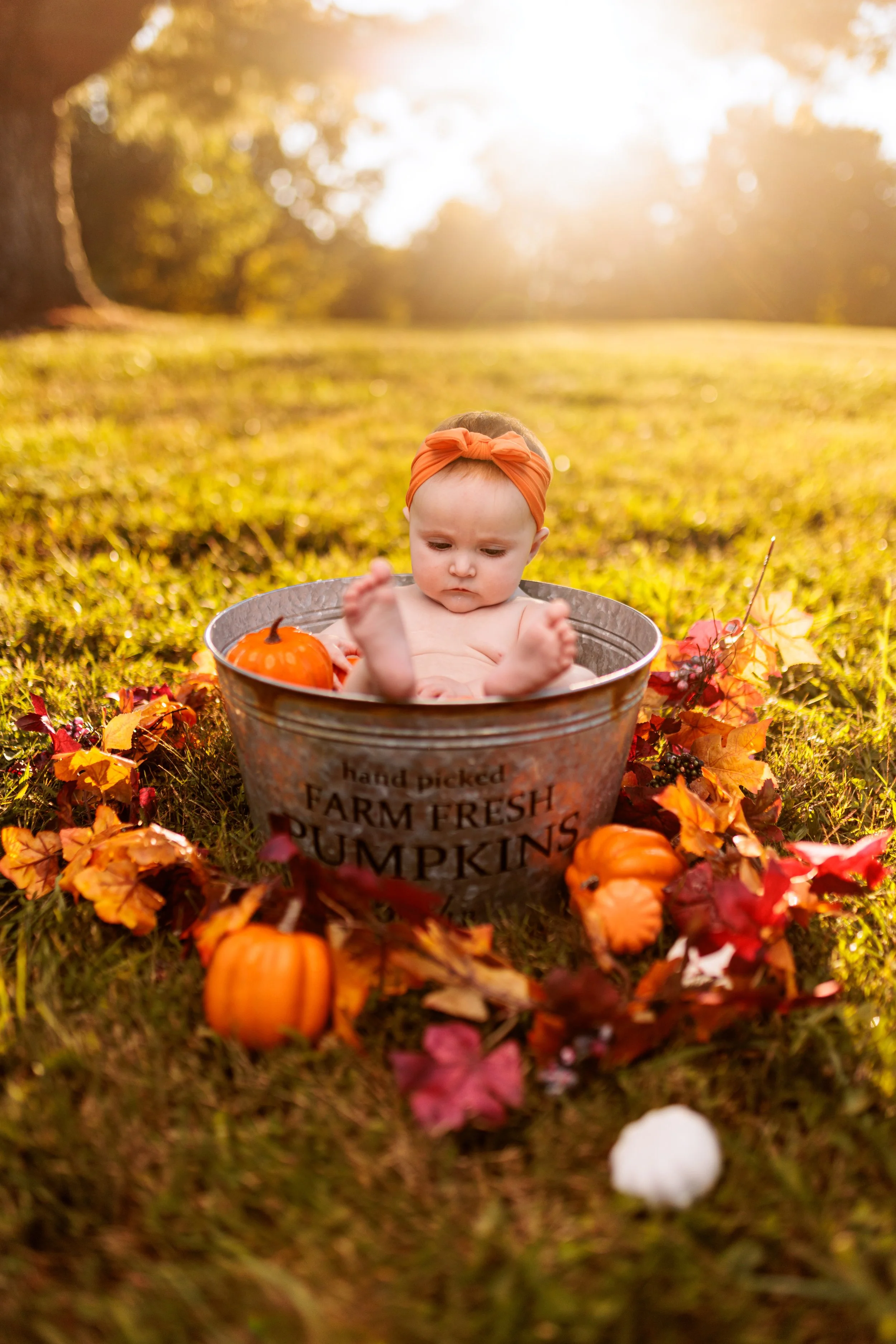 Melanie and Jax Fall Bucket Shoot Web_20231001_024.jpg