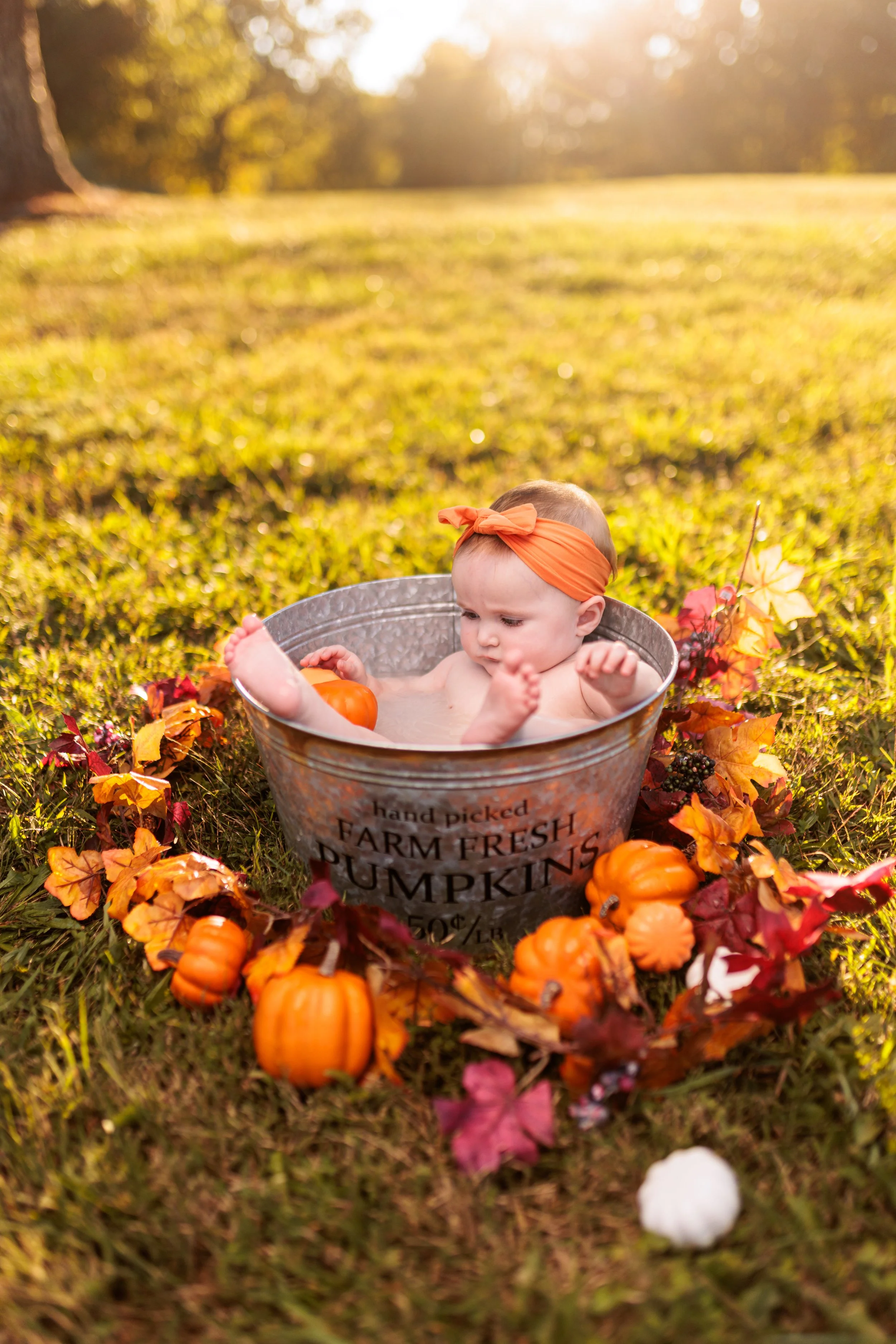 Melanie and Jax Fall Bucket Shoot Web_20231001_022.jpg