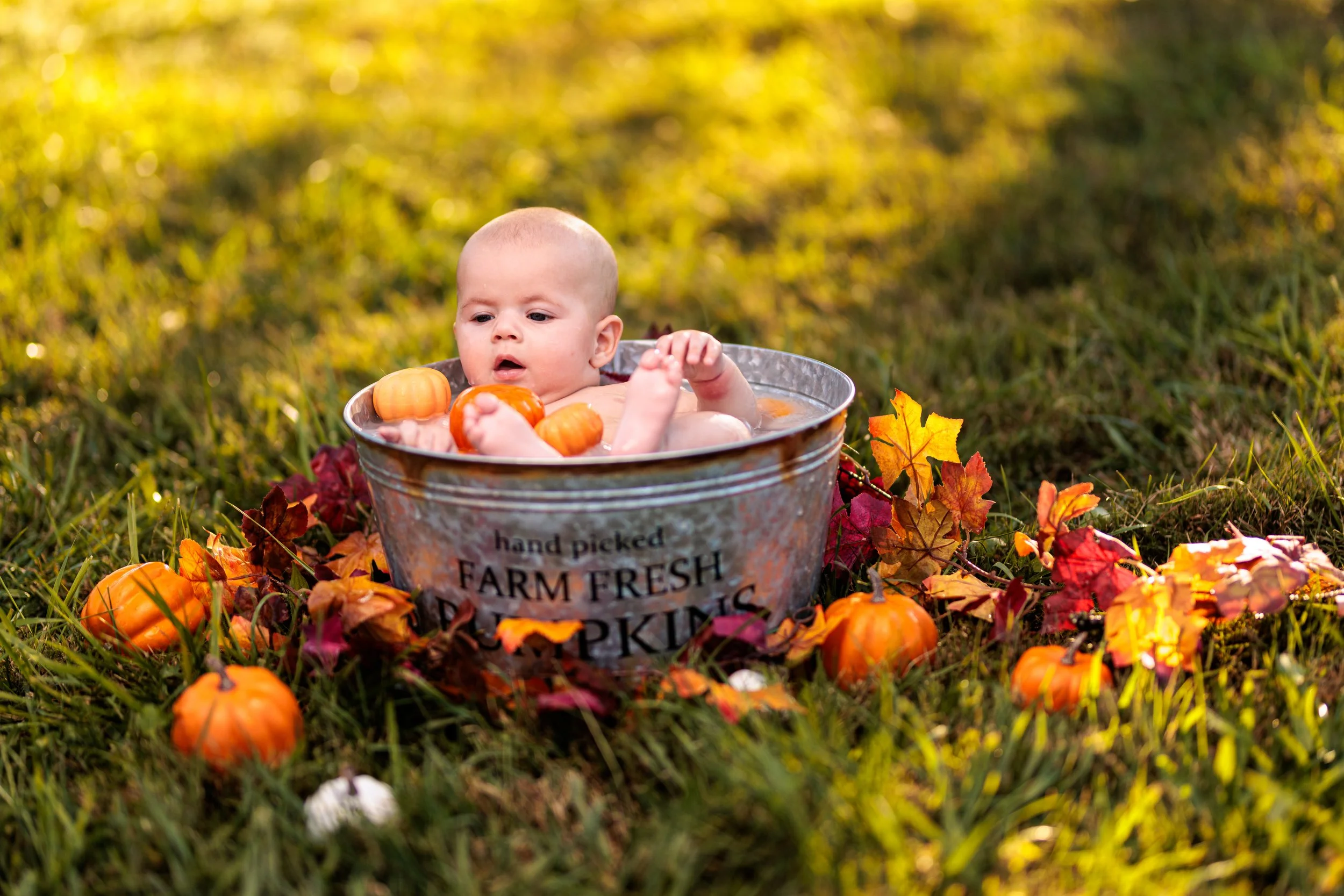Melanie and Jax Fall Bucket Shoot Web_20231001_011.jpg