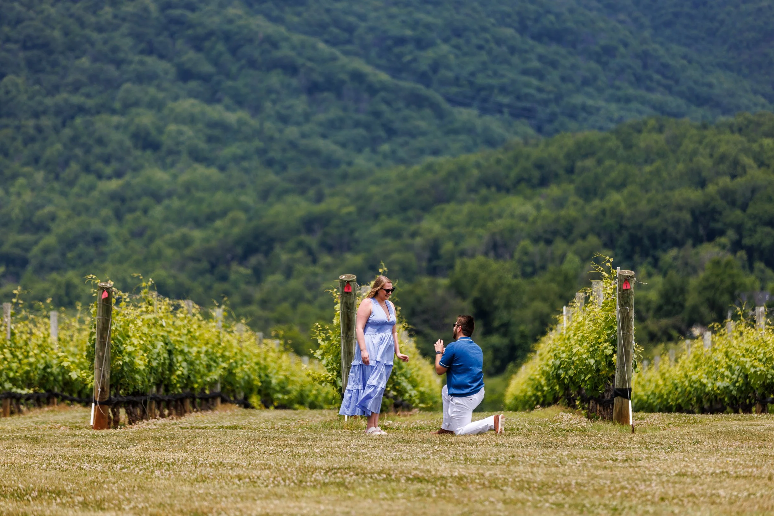 Nate and Emily Proposal Web_20230528_009.jpg