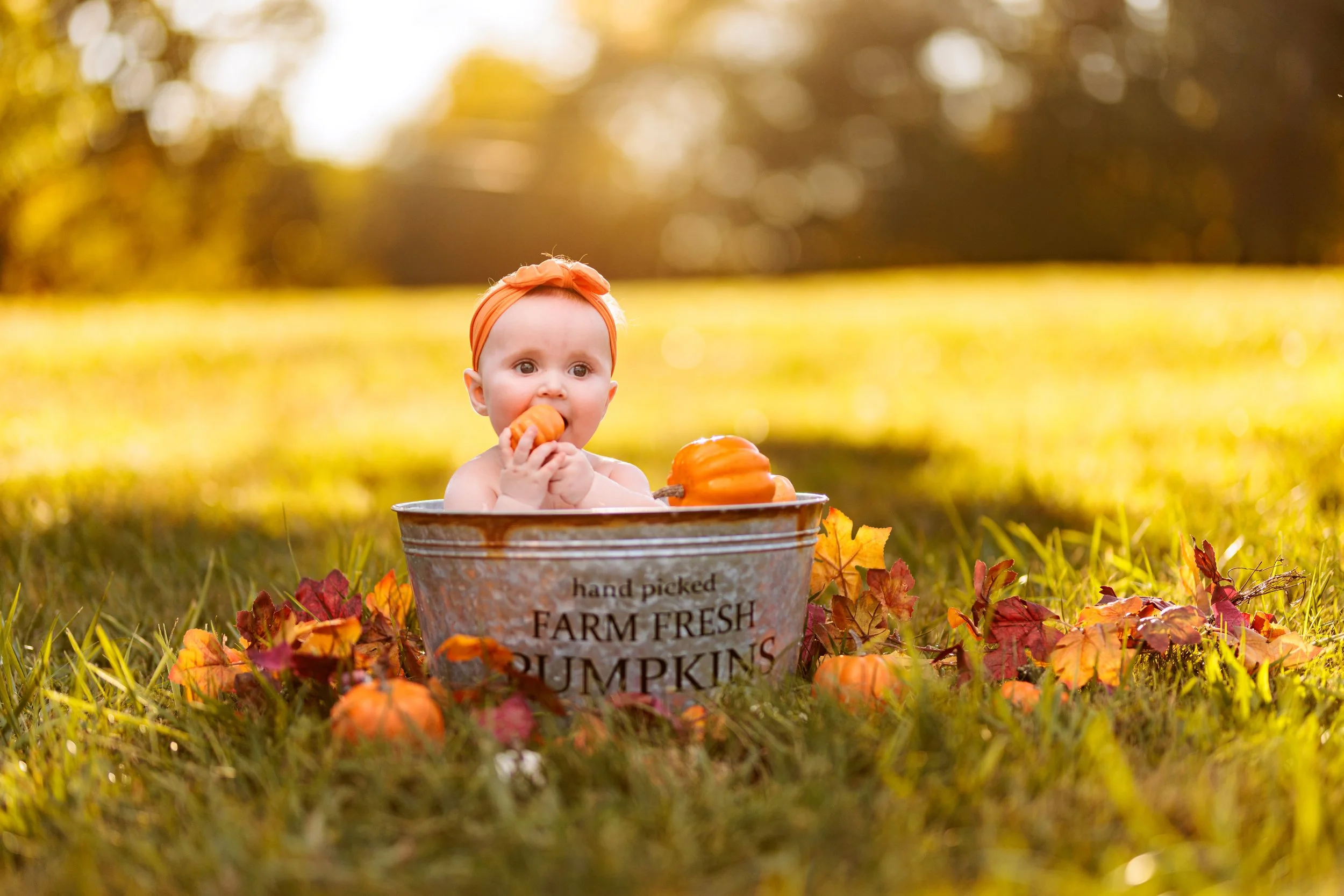 Melanie and Jax Fall Bucket Shoot Web_20231001_005.jpg
