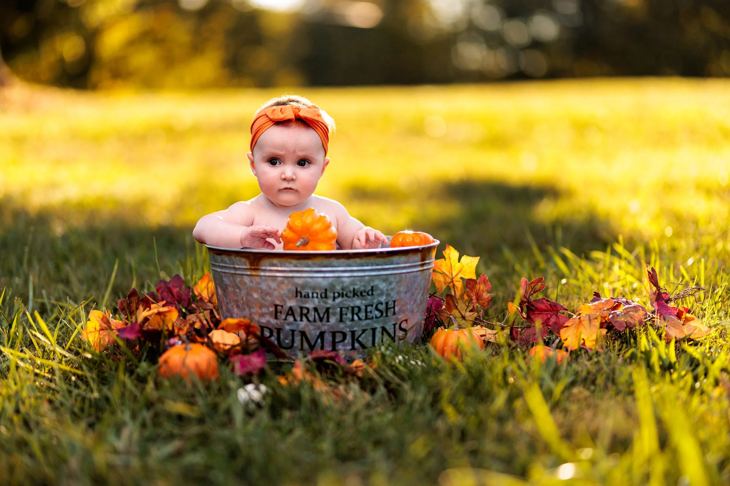 Melanie and Jax Fall Bucket Shoot Web_20231001_002.jpg