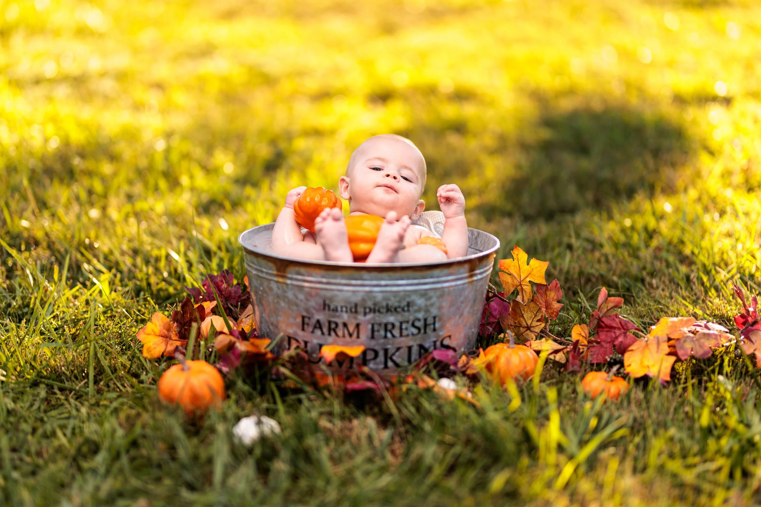 Melanie and Jax Fall Bucket Shoot Web_20231001_013.jpg