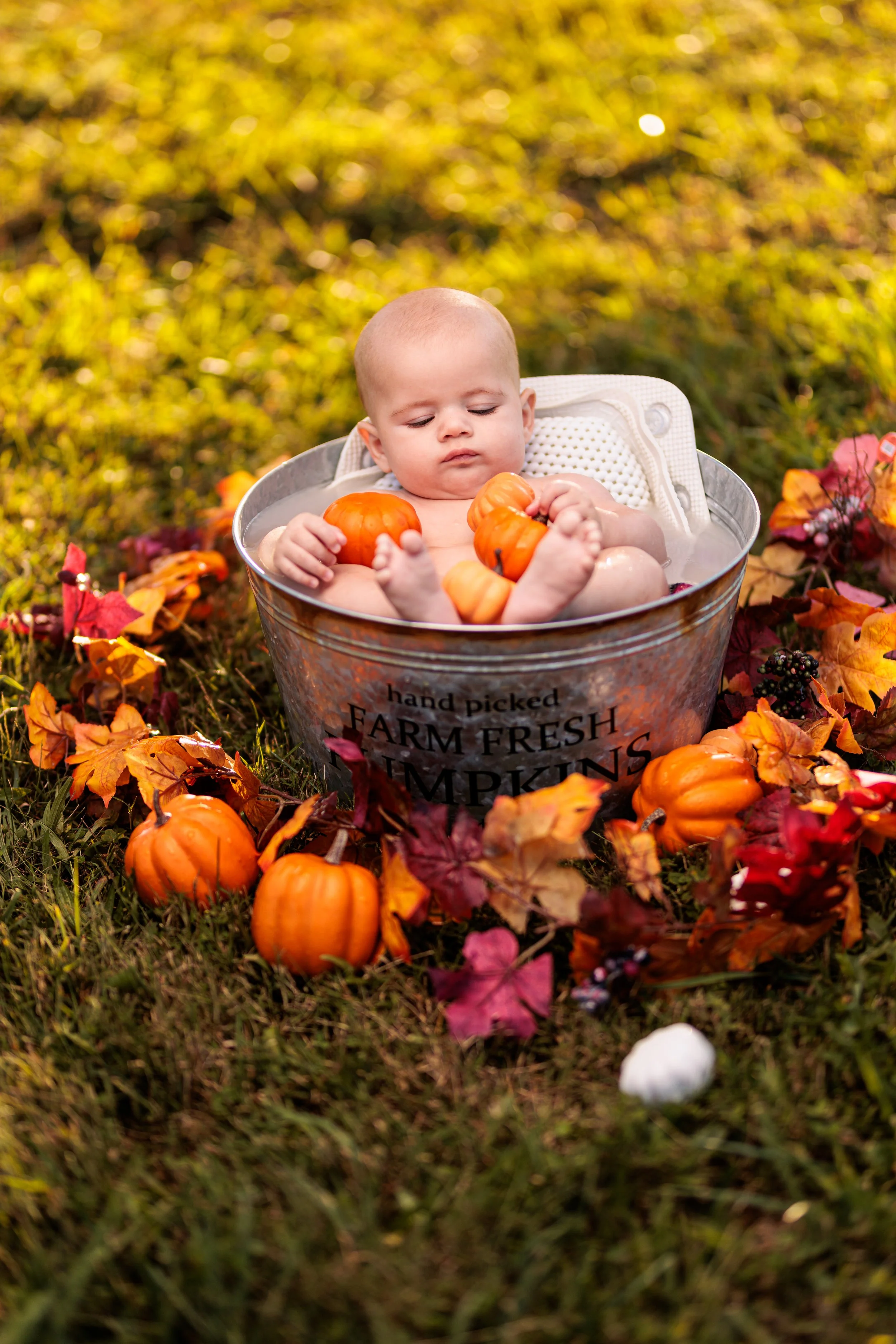 Melanie and Jax Fall Bucket Shoot Web_20231001_016.jpg