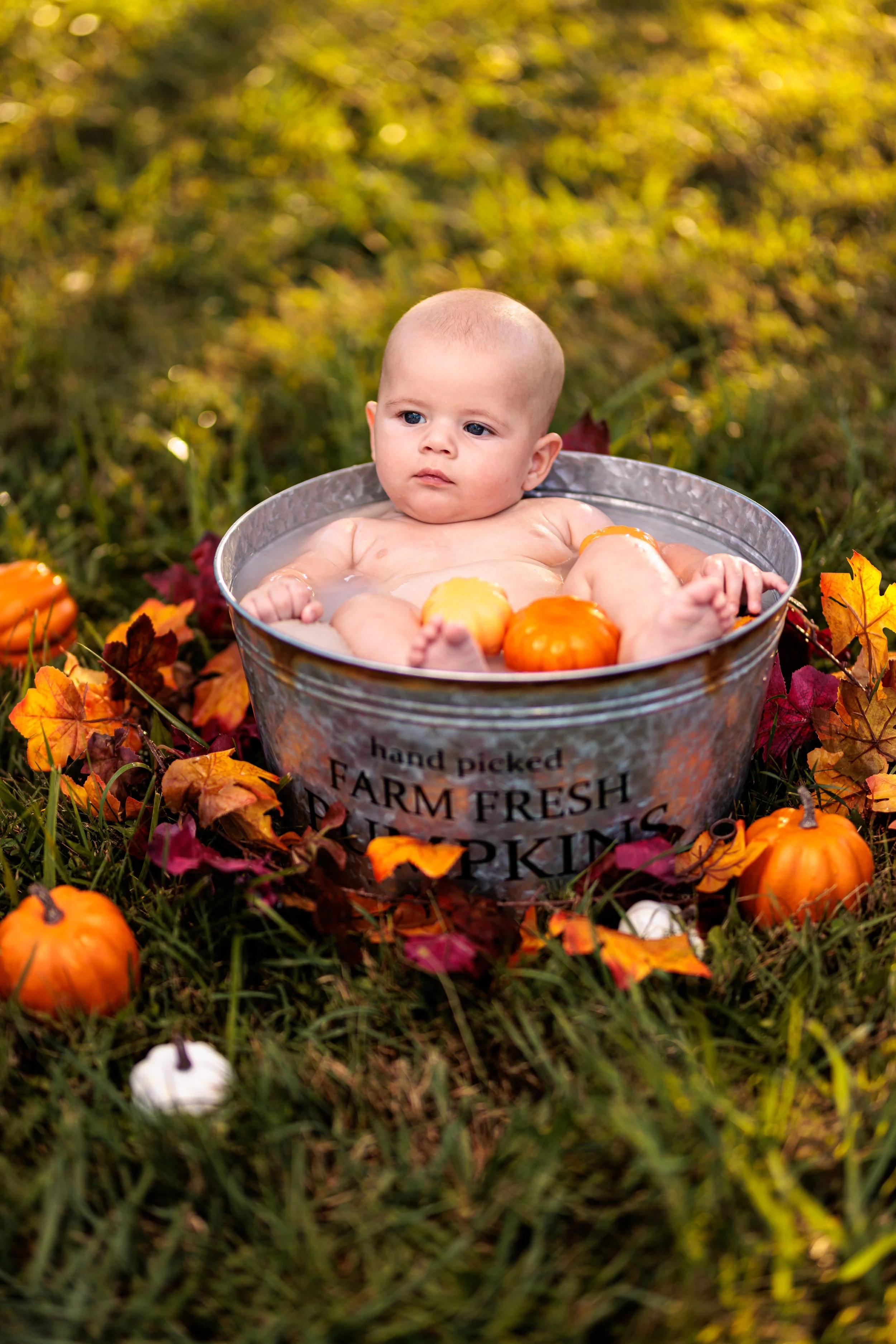 Melanie and Jax Fall Bucket Shoot Web_20231001_009.jpg