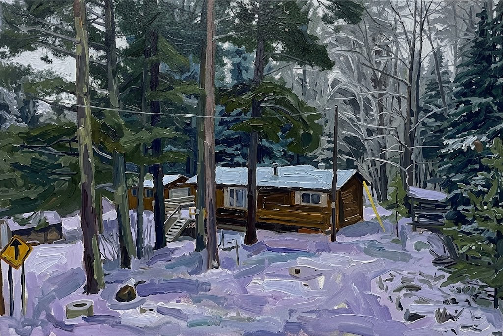 Cabin from Above