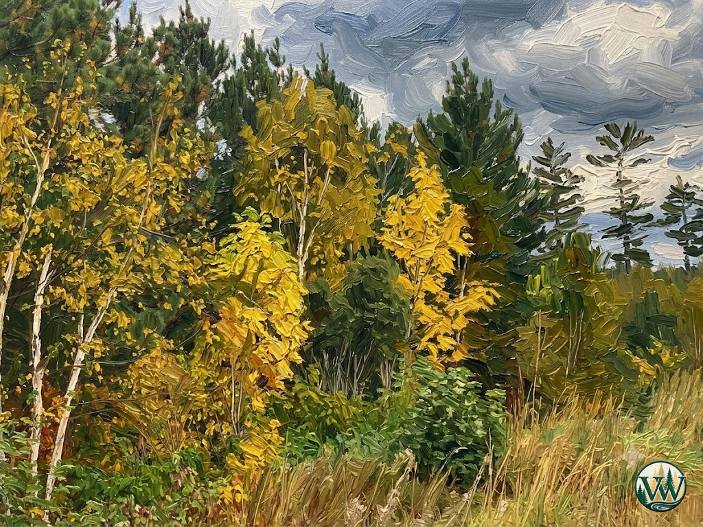 Fall Forest