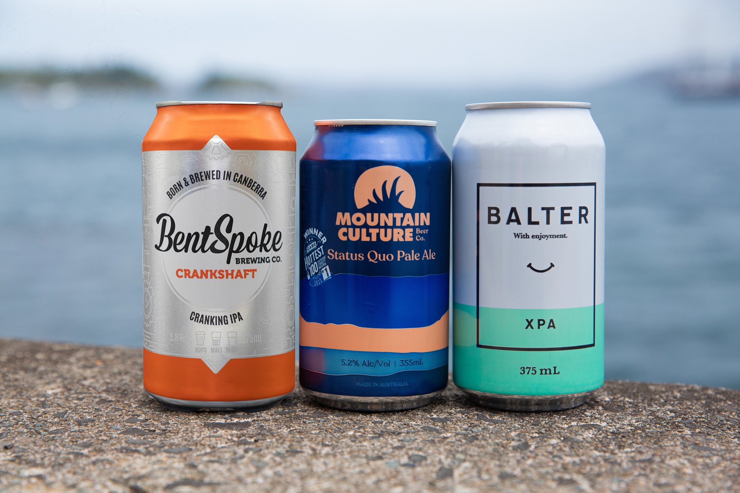 Craft beer selection at Black Sheep Bottle Shop