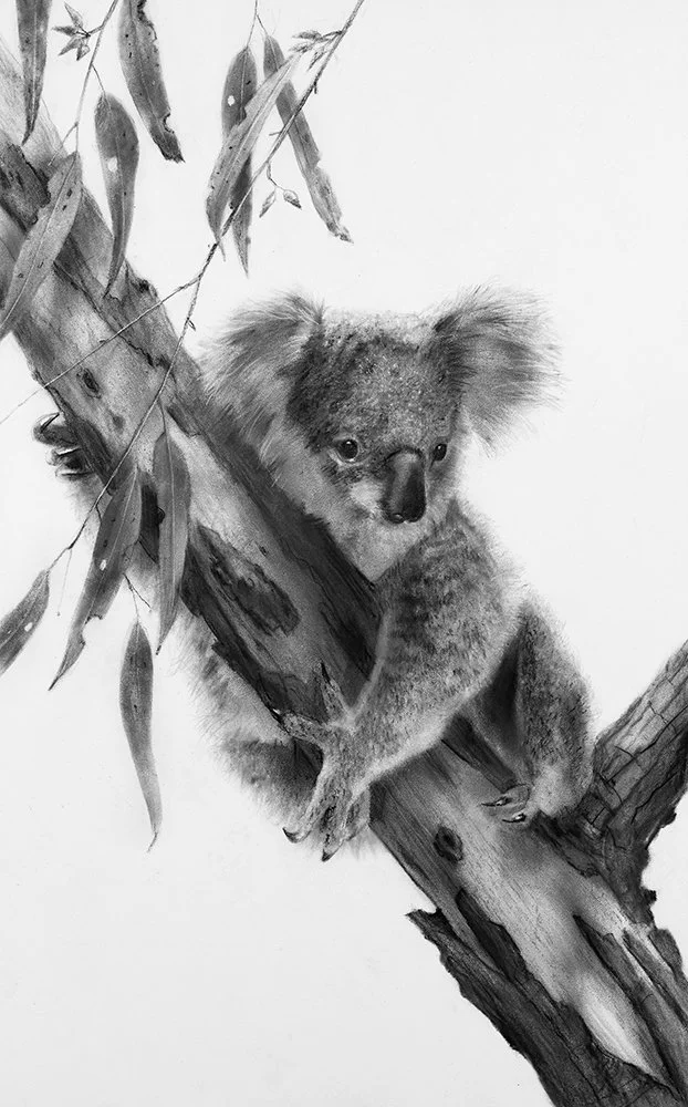 A Quiet Place - 33cm x 51cm drawing in 24K Gold and Platinum.