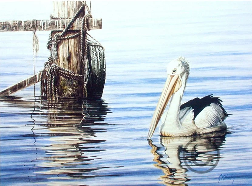 Cruising - 72cm x 52cm