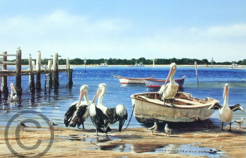 Washing Day (Pelicans) 72cm x 52cm