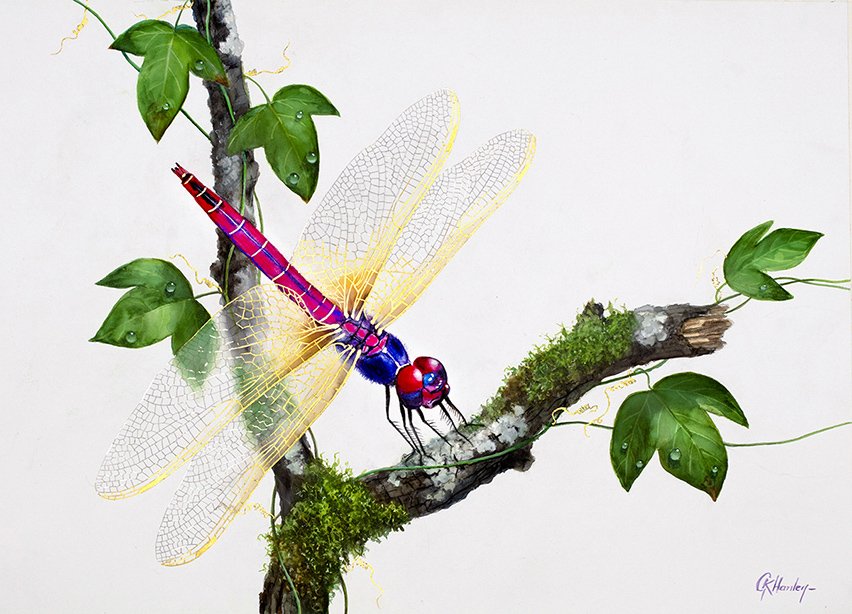 Mauve Dragonfly - 72cm x 52cm in 24K Gold, platinum, 24K gold leaf, White gold leaf and watercolour. Available as prints hand gilded in 24 carat gold. There are dragonflies of all colours available as originals and prints. All have wing veins delicat