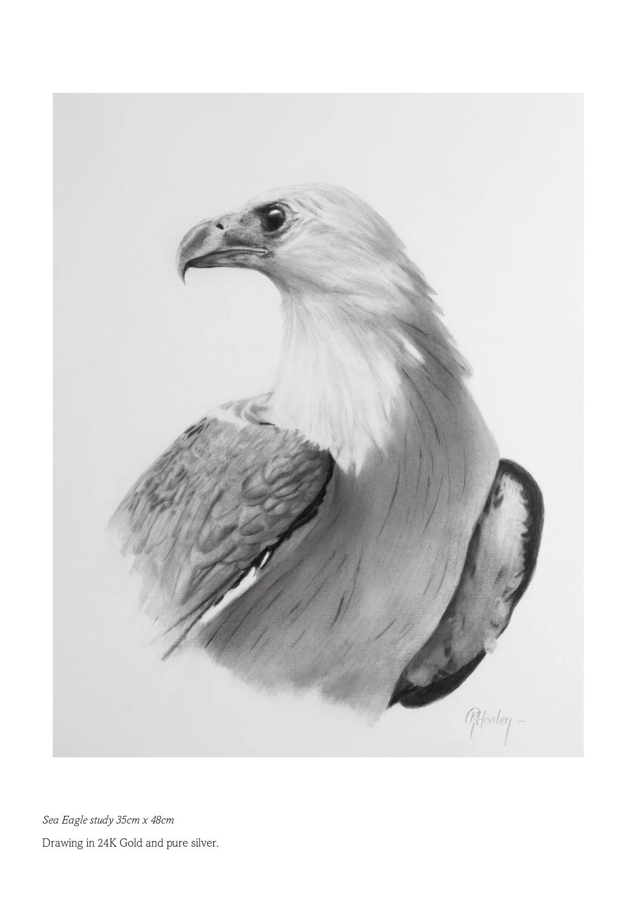 Sea Eagle - 35cm x 48cm -in 24K Gold and pure silver