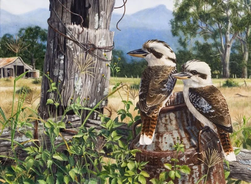 Sunrise (Kookaburras)
