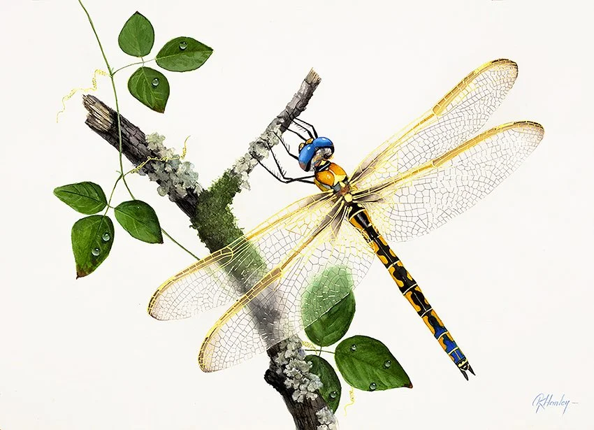 Yellow Dragonfly - 72cm x 52cm in 24K Gold, platinum, 24K gold leaf, white gold leaf and watercolour. Available as prints hand gilded in 24 carat gold. There are dragonflies of all colours available as originals and prints. All have wing veins delica