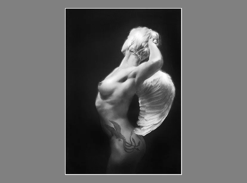 Angel Rising - 52cm x 33cm drawn in 24K gold and pure silver.