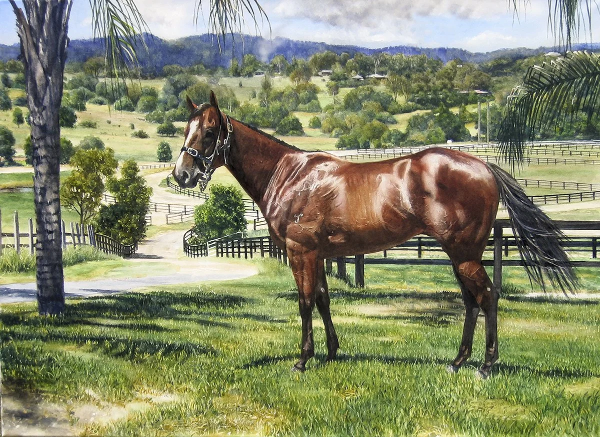 Snitzel at Waverley Park 72cm x 52cm watercolour. If you would like a quote to immortalise your horse in art - please contact me!