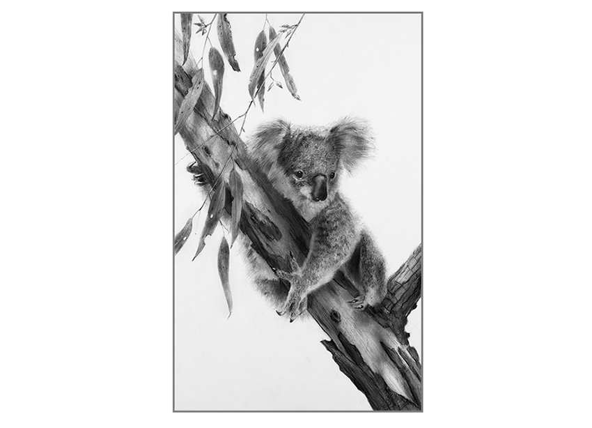 A Quiet Place - 51cm x 33cm drawn in 24K gold and pure silver.