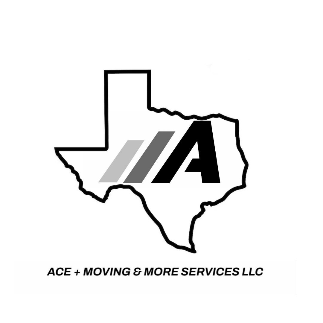 ACE PLUS SERVICES LLC