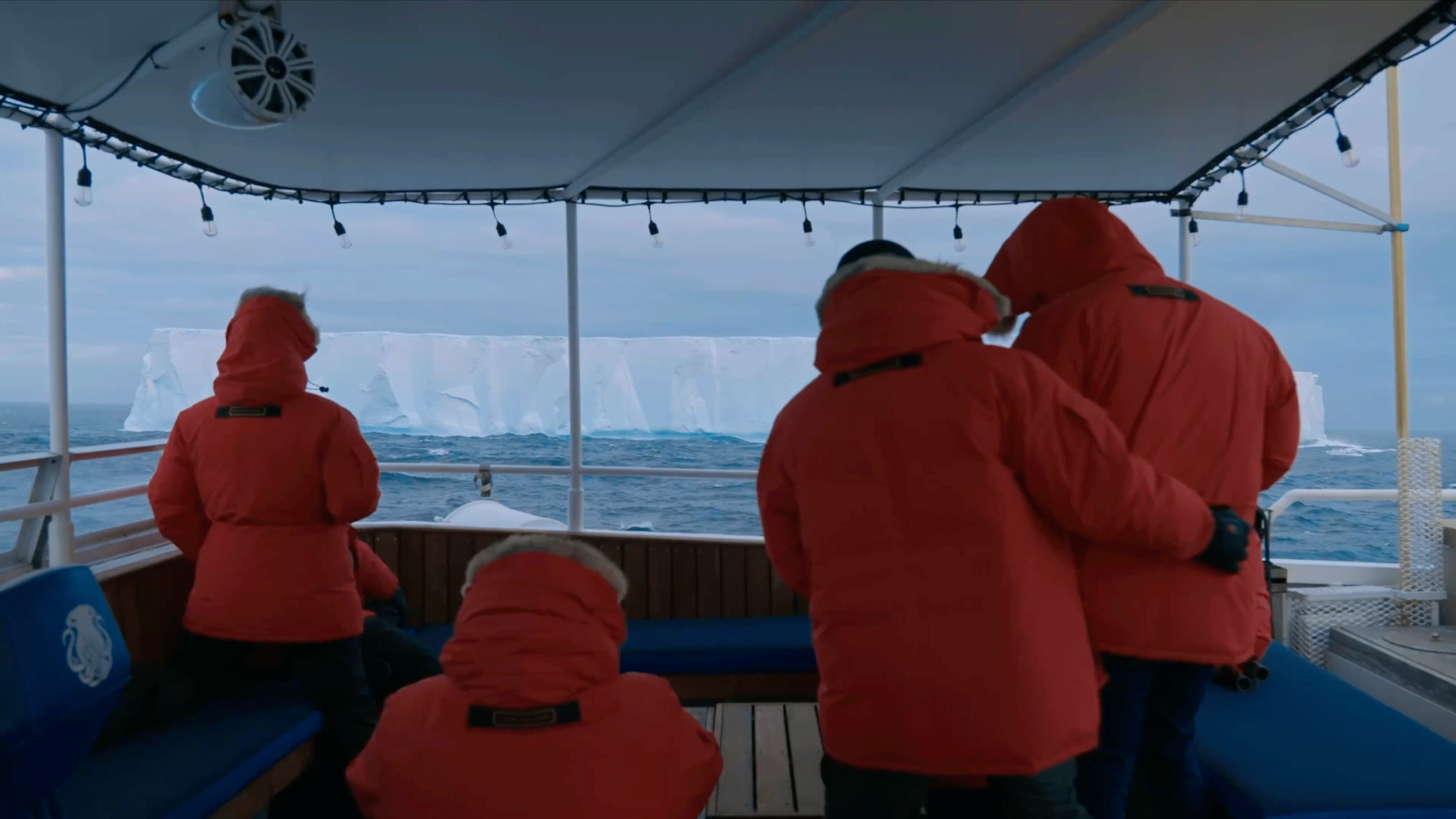 Expedition Antarctica, Inkfish | Mini-Doc Series