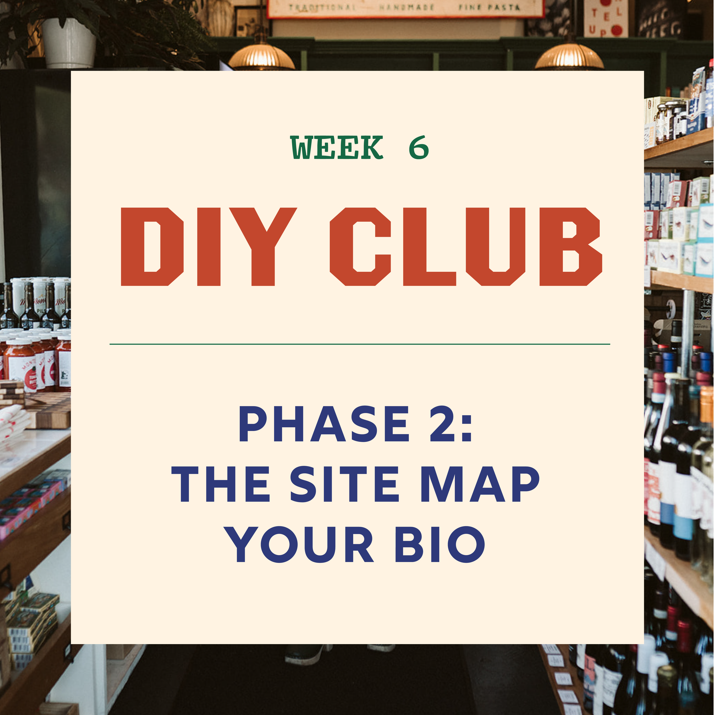 WEEK 6