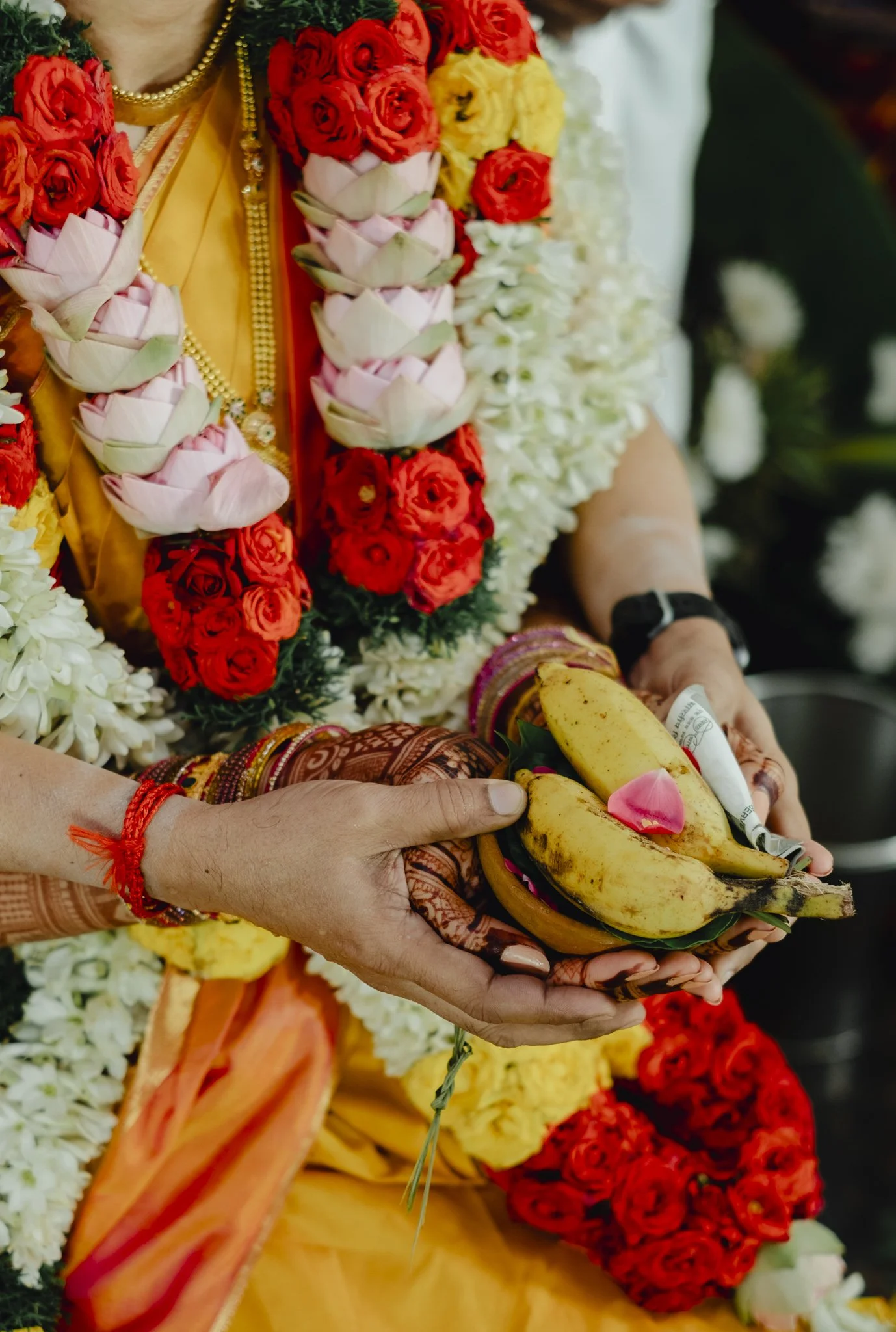 Nandita_Sairam_Preview_-109.jpg