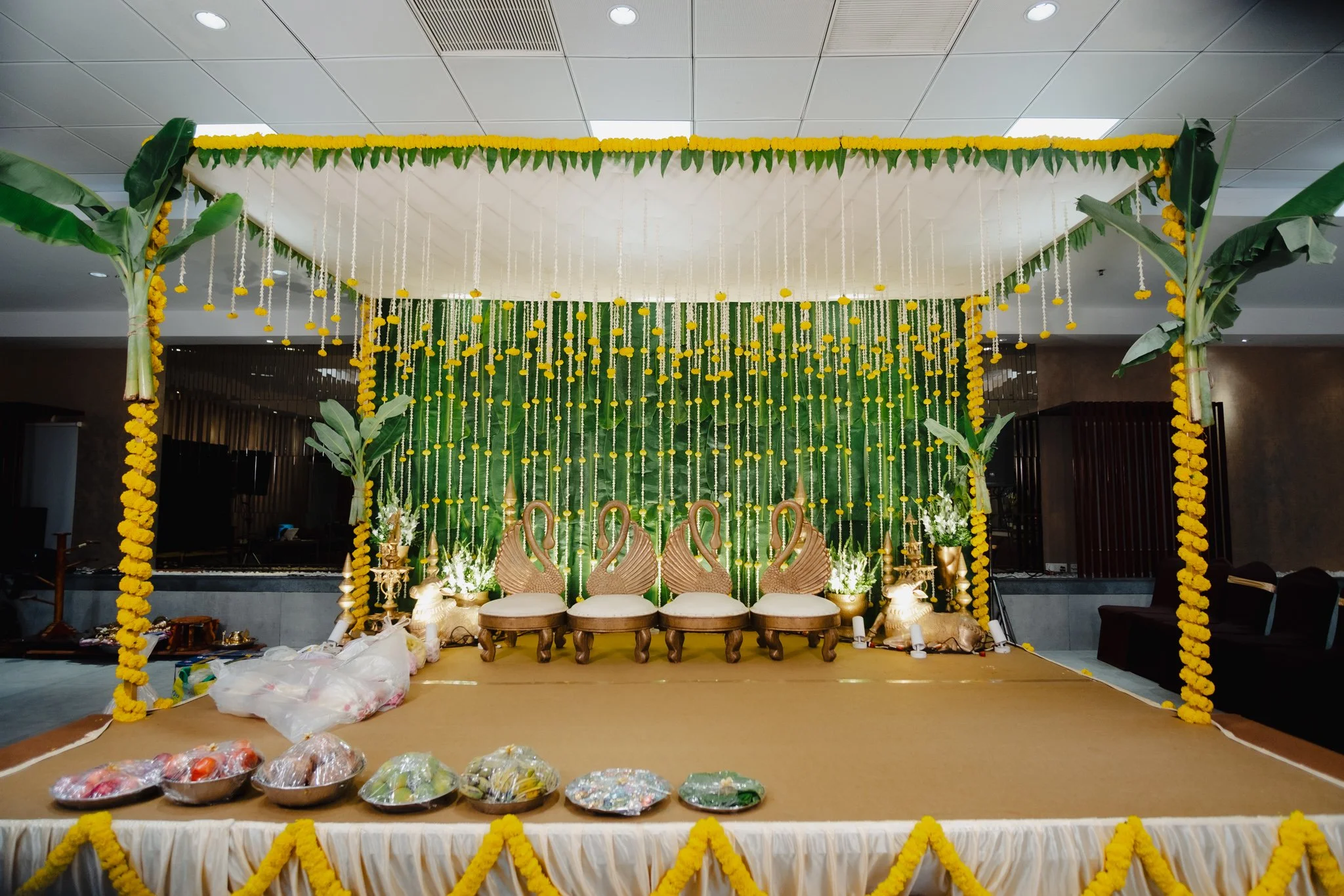 Ananya_Neeraj_Preview-2.jpg