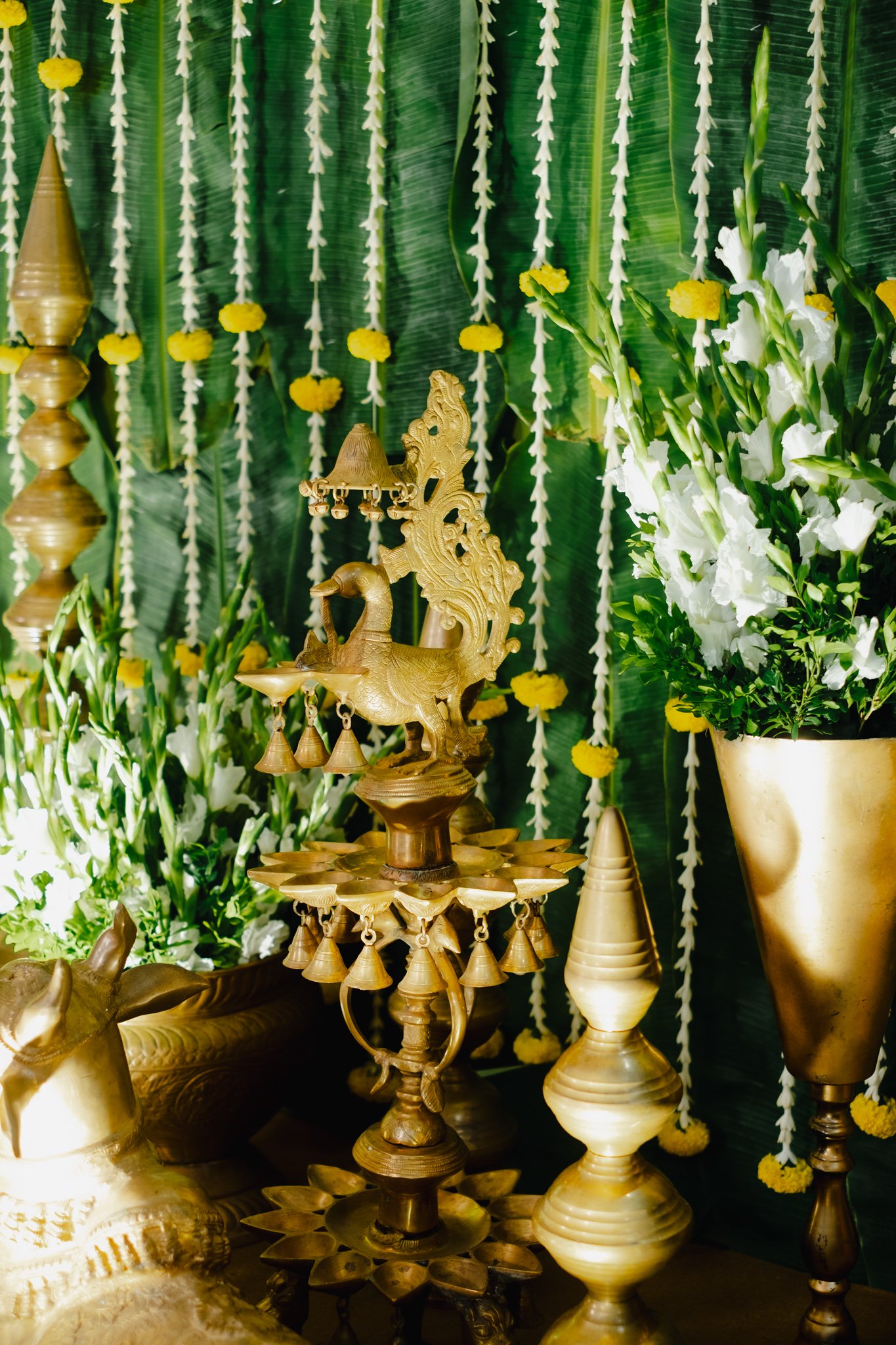 Ananya_Neeraj_Preview-3.jpg