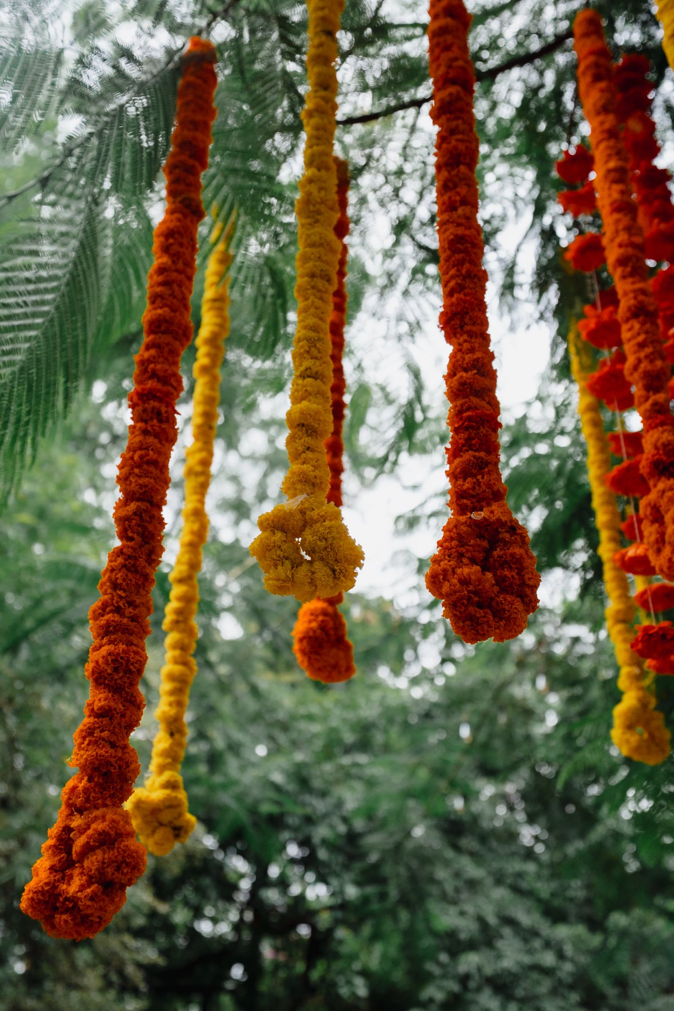 Pratheeksha_Nishant-77.jpg