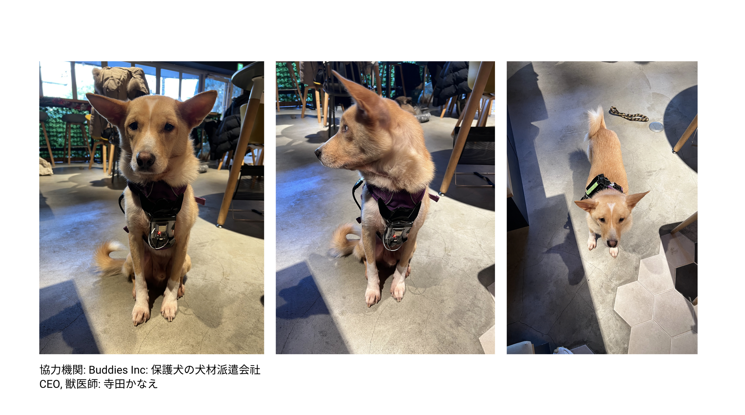 스크린샷 2023-05-02 02.44.23.png