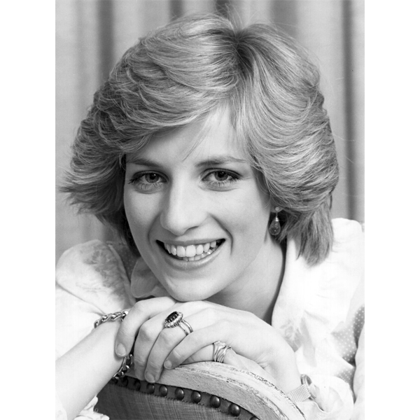 【J17732】DIANA A PORTRAIT Diana, Portraits of a Princess Commemorative Collection – Downies