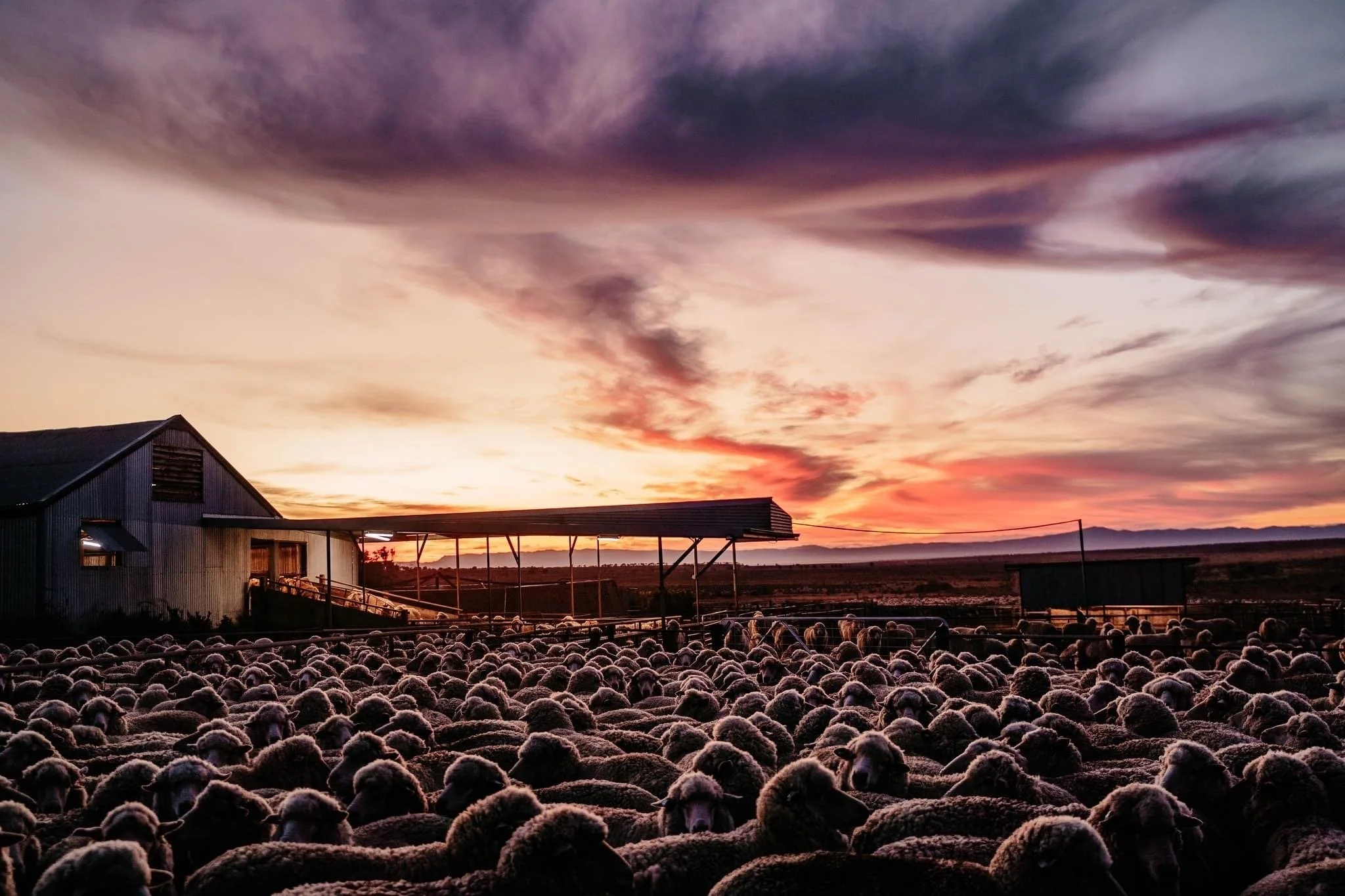 Ewe Beauty Apparel — Australian Country Clothing