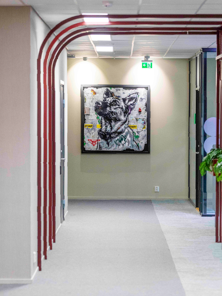 Hanki: The Mine Detecting Dog That Saved Lives