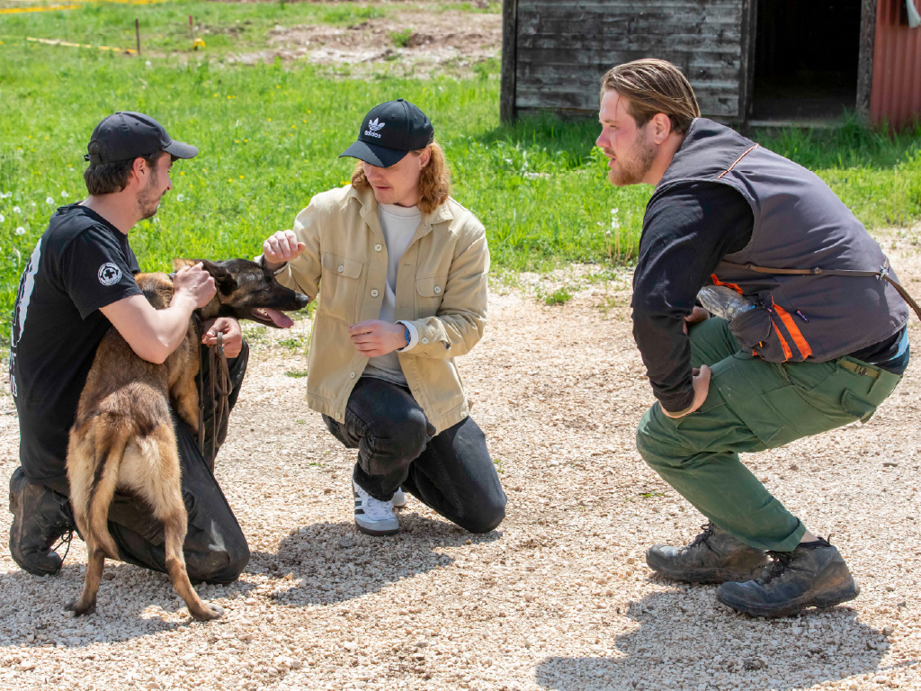 René Konings visiting the Norwegian People's Aid mine-dog training center in Sarajevo, Bosnia and Herzegovina.