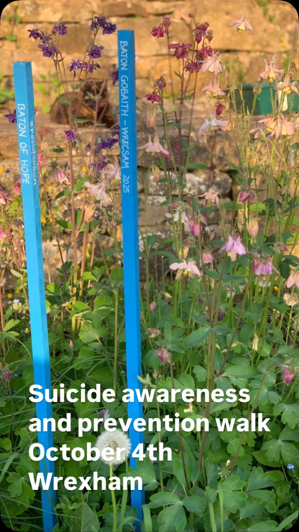 I will be a baton bearer on October 4th, for my dad who took his life when I was 19, he was 39. To raise funds for the walk I have created these garden batons, made from donated wood cut offs, sanded and painted. A small local community group are hel