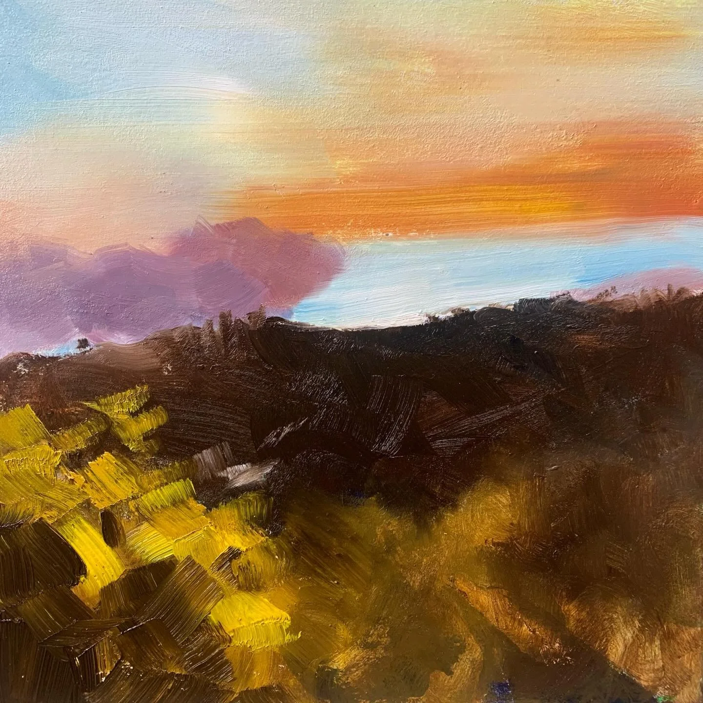 I went to paint more apples and quince in my studio but the light was changing outside and was so wonderfully distracting I just had to turn to the door and paint it. The time flew by as I captured the changing light moving into evening. They will ta