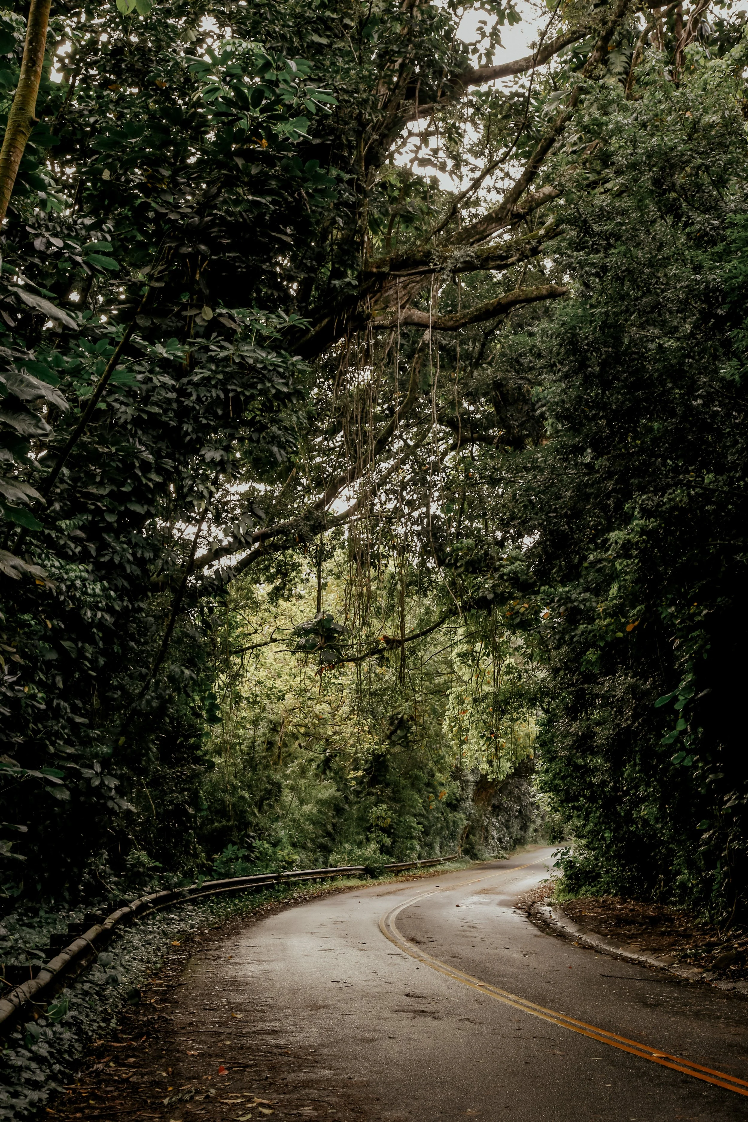 2023-03-03 20.01.21.jpg