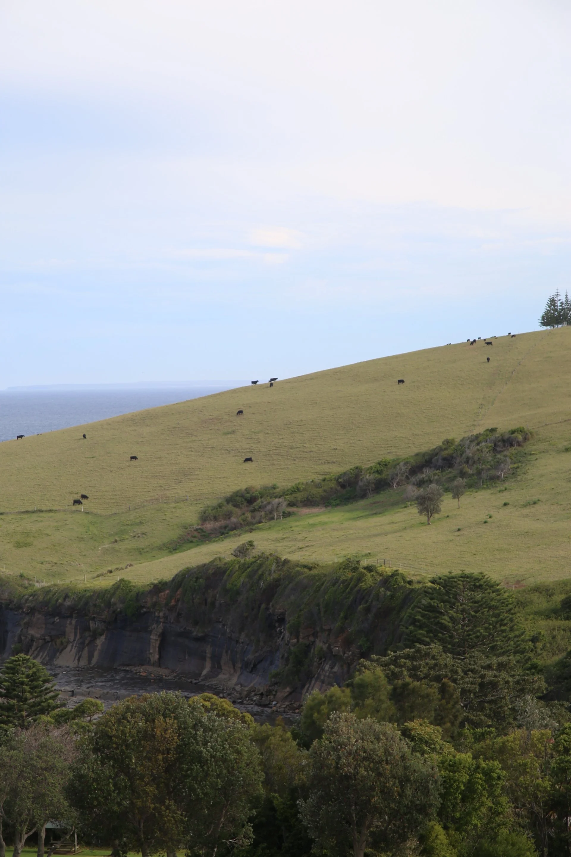 2018-10-09 05.05.22.jpg