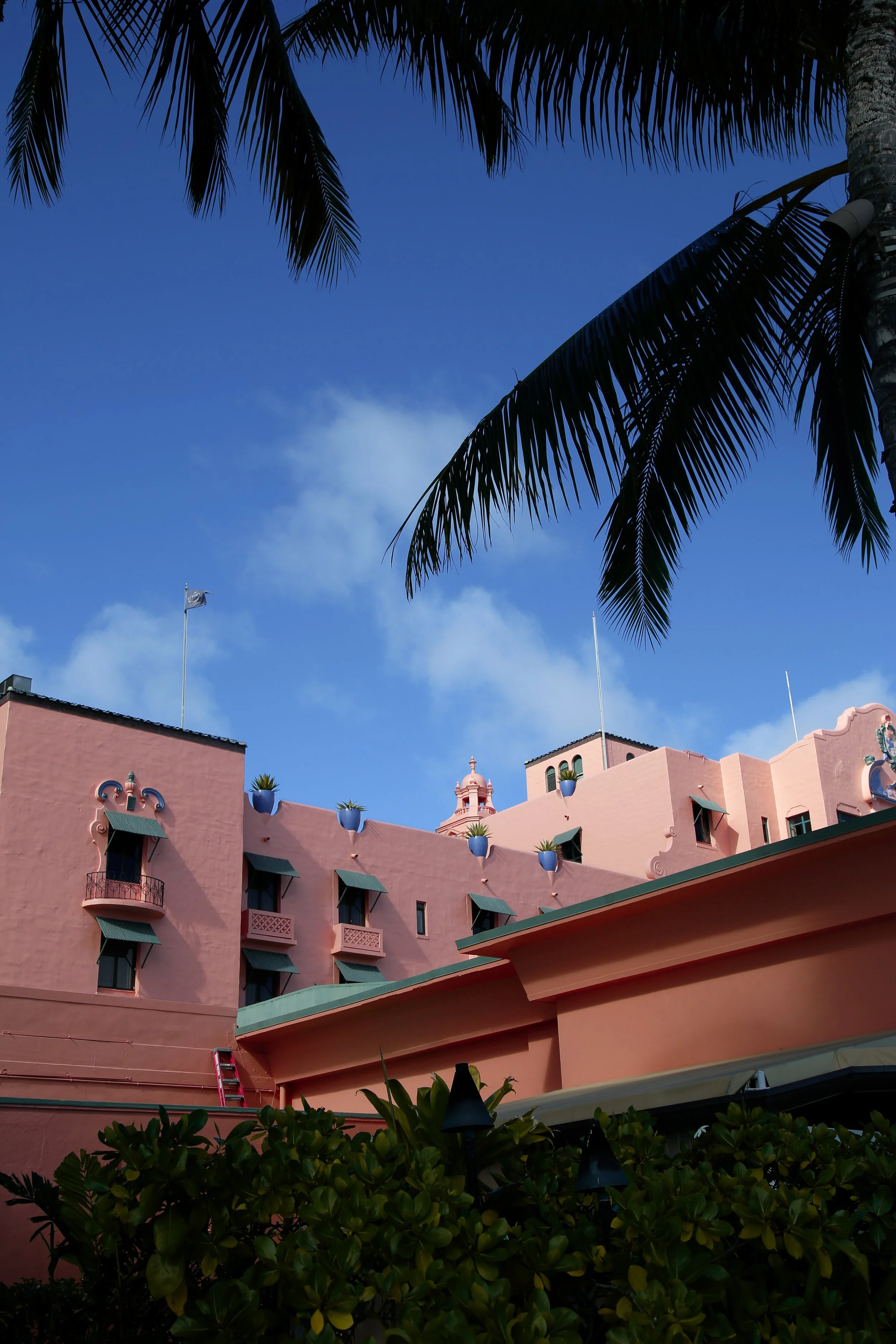 2023-03-05 19.25.15.jpg