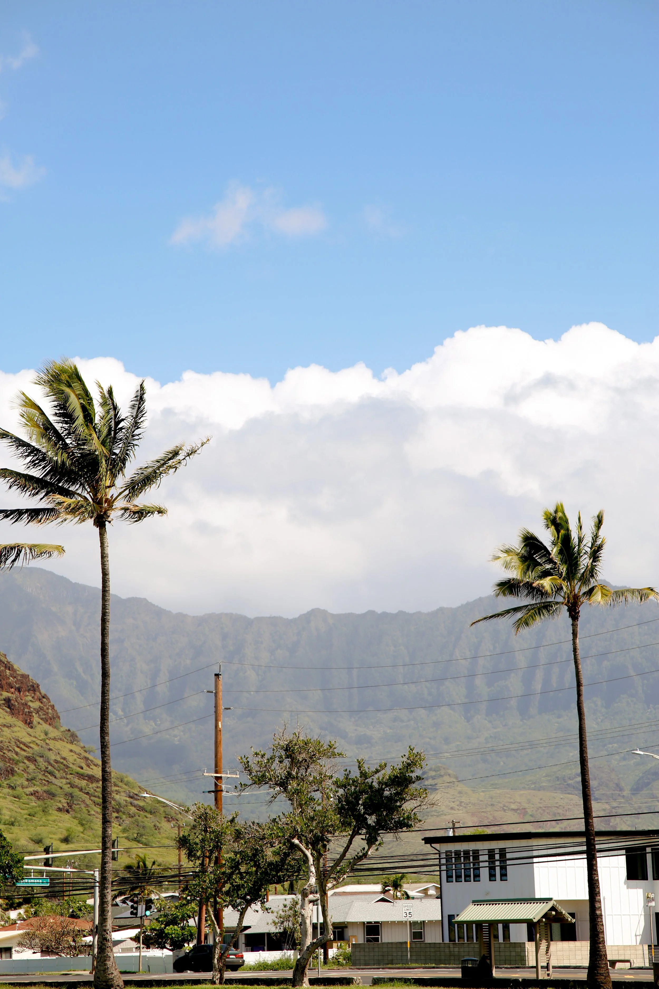 2023-03-03 14.42.47.jpg