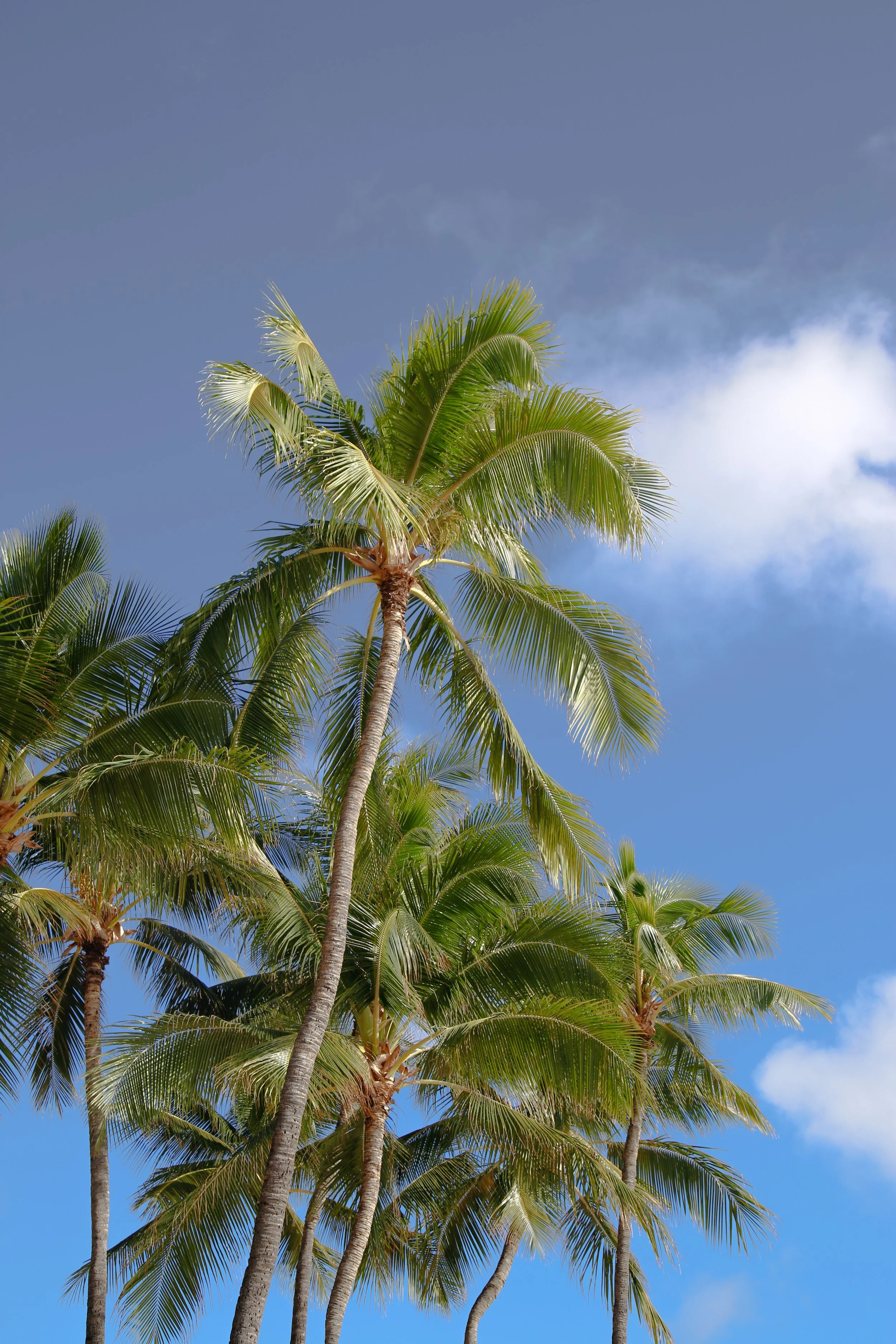 2023-03-05 20.09.13.jpg