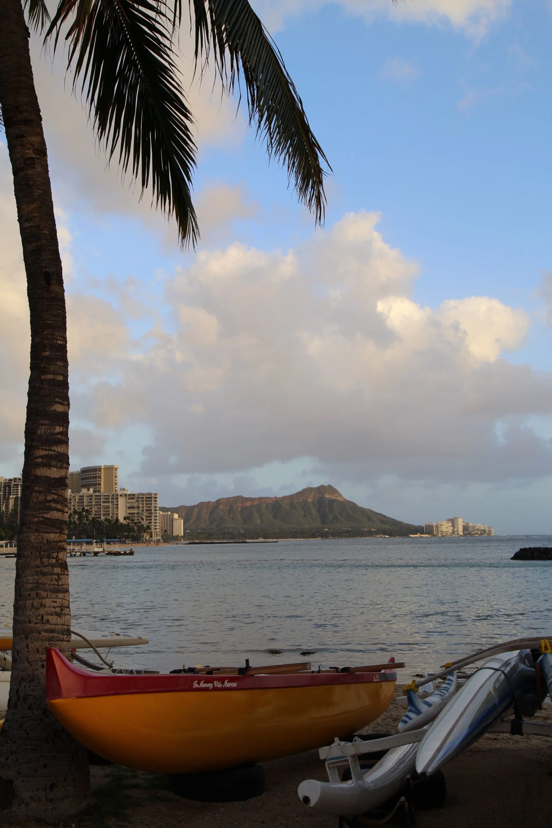 2023-03-03 00.58.42.jpg