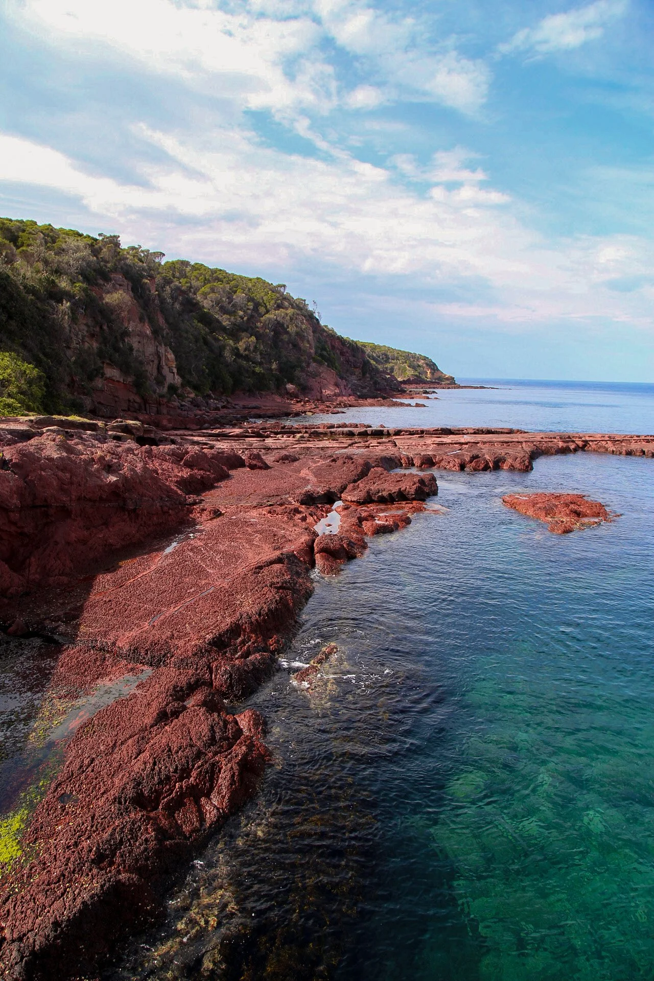 2020-09-03 01.02.29.jpg