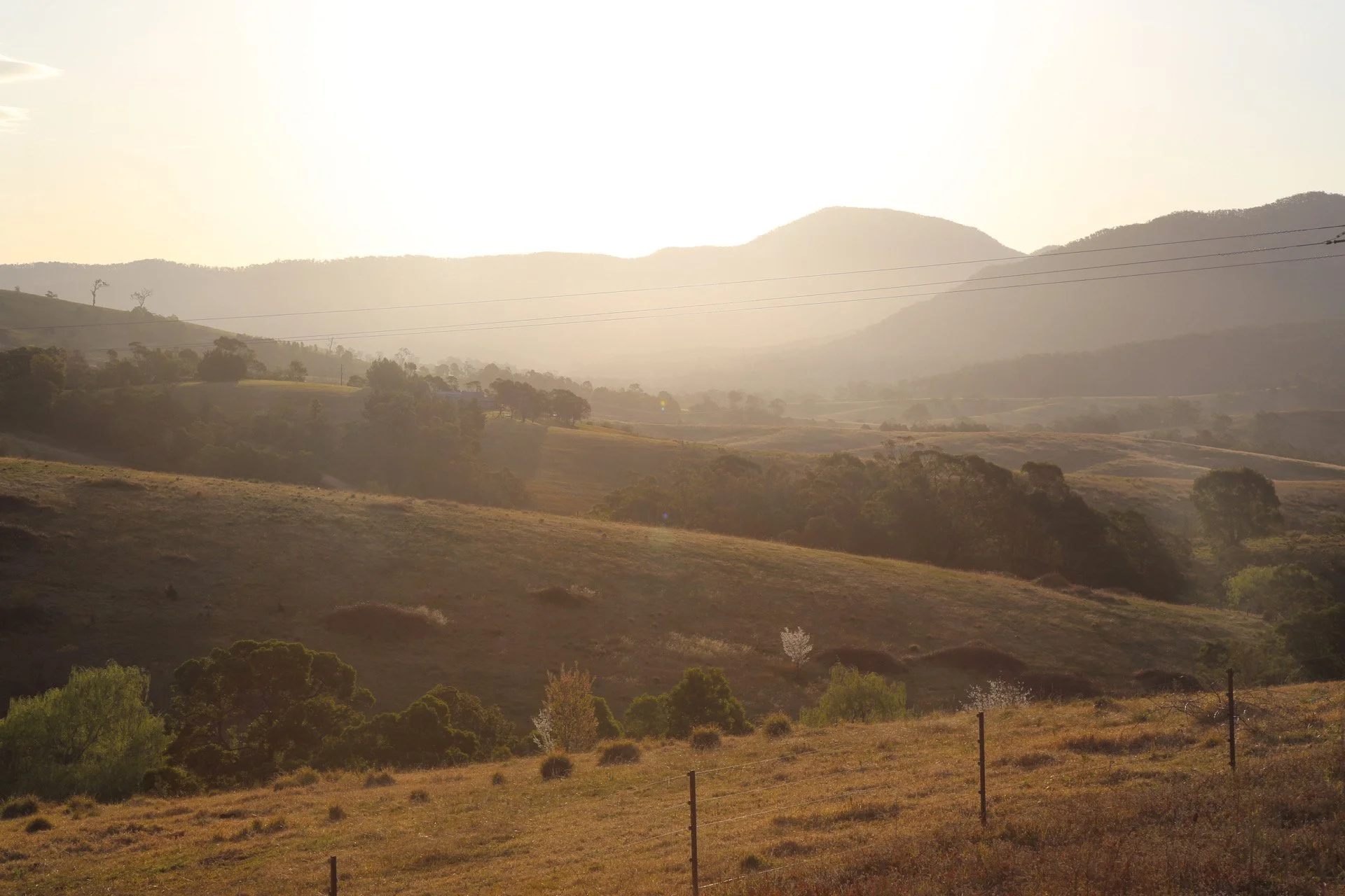 2020-09-02 07.18.10.jpg