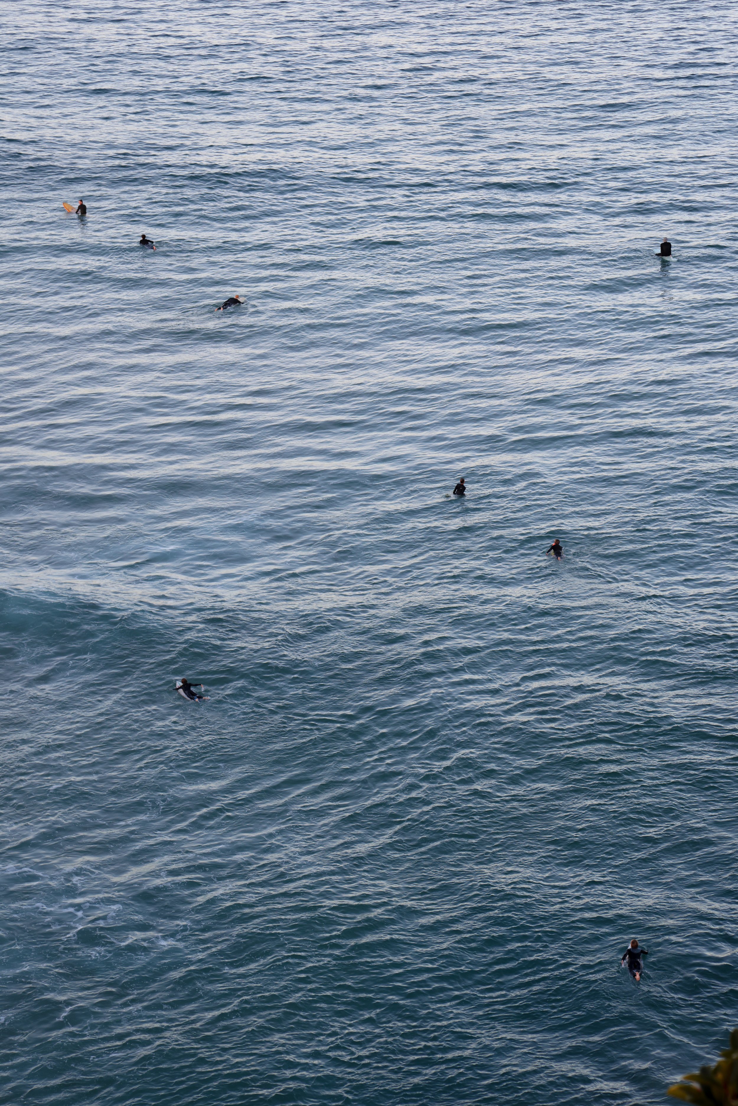 2024-07-24 16.28.40.jpg